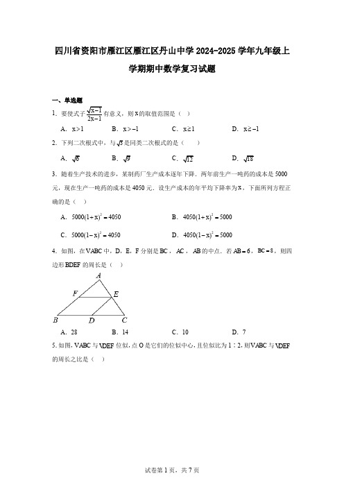 四川省资阳市雁江区雁江区丹山中学2024-2025学年九年级上学期期中数学复习试题