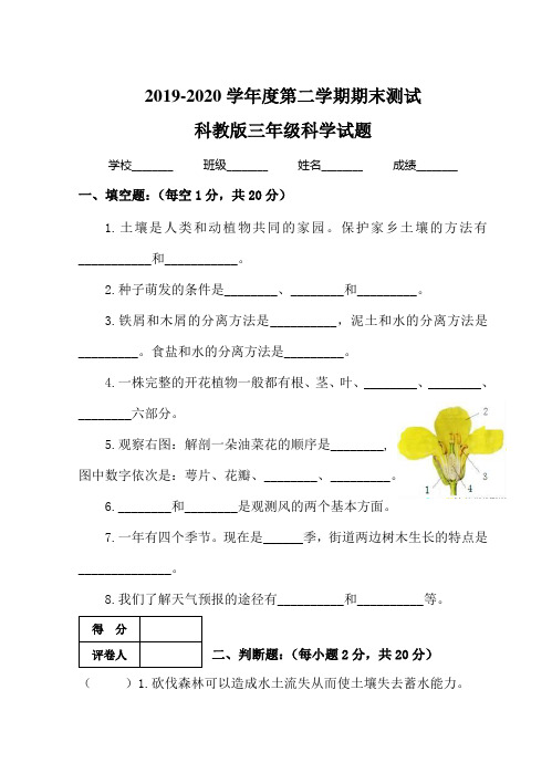 2020科教版三年级下册科学《期末检测卷》(含答案解析)