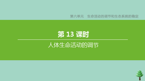 (徐州专版)2020中考生物复习方案第六单元生命活动的调节和生态系统的稳定第13课时人体生命活动的调节课件