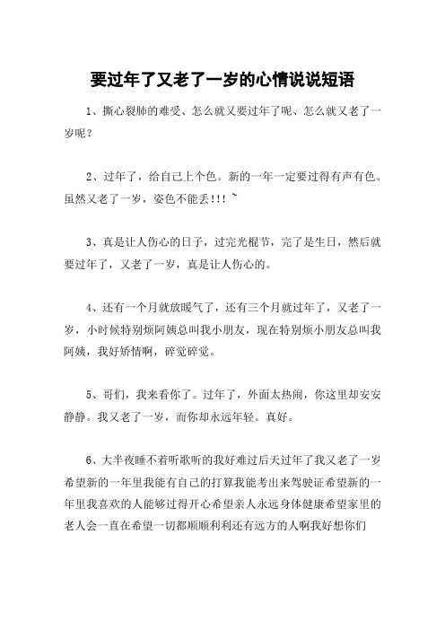 要过年了又老了一岁的心情说说短语