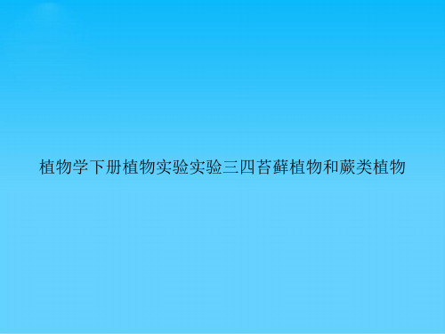 植物学下册植物实验实验三四苔藓植物和蕨类植物