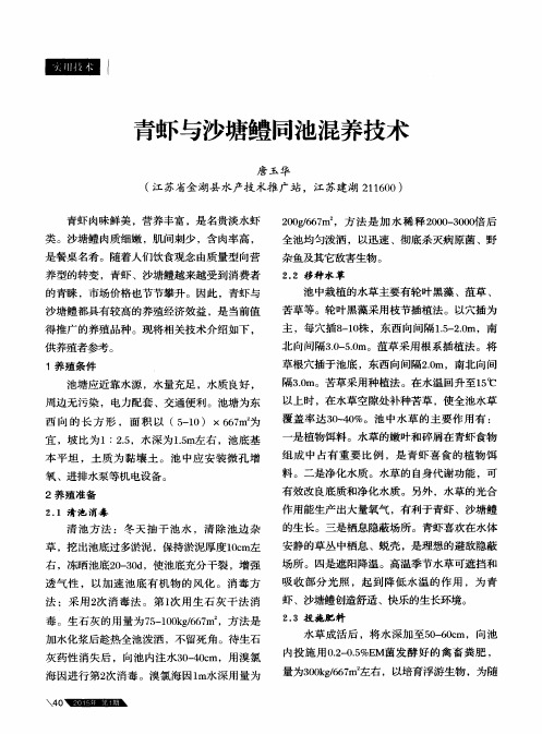 青虾与沙塘鳢同池混养技术