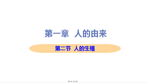 新人教版七年级下册初中生物 第二节 人的生殖 教学课件