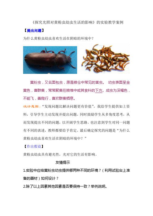 探究光照对黄粉虫幼虫生活的影响