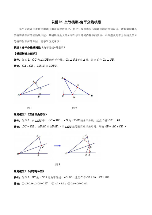 专题06 全等模型-角平分线模型(解析版)