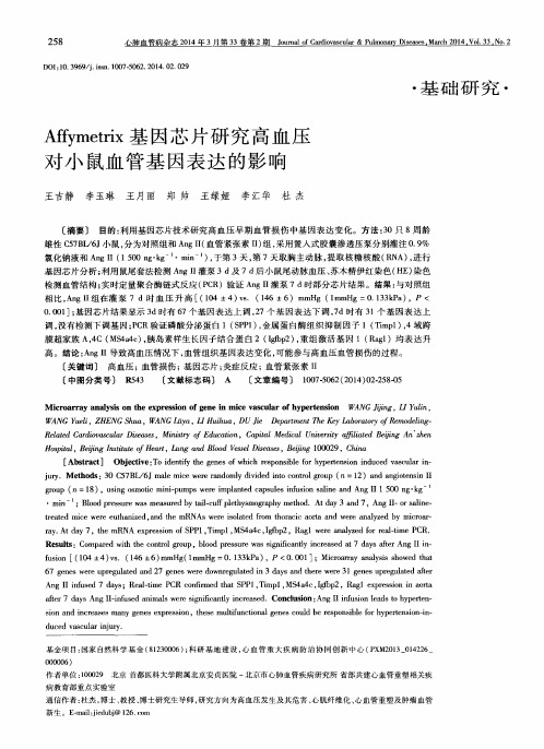 Affymetrix基因芯片研究高血压对小鼠血管基因表达的影响