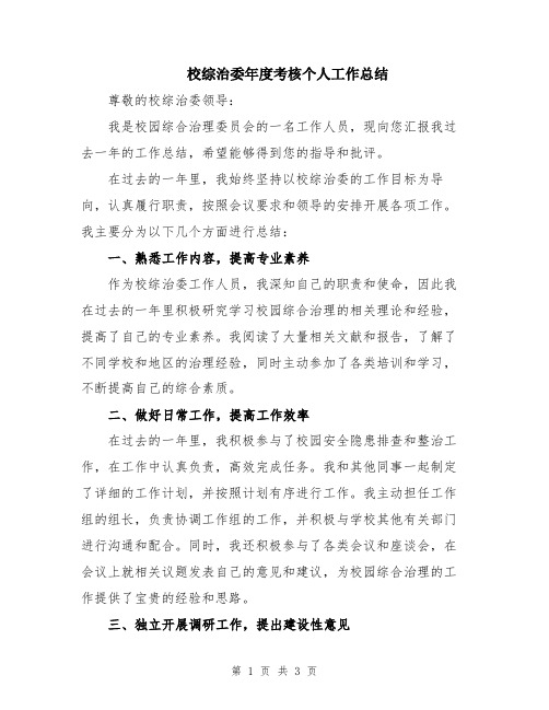 校综治委年度考核个人工作总结