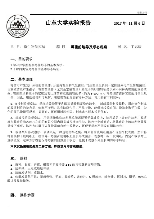 霉菌的培养及形态观察实验报告