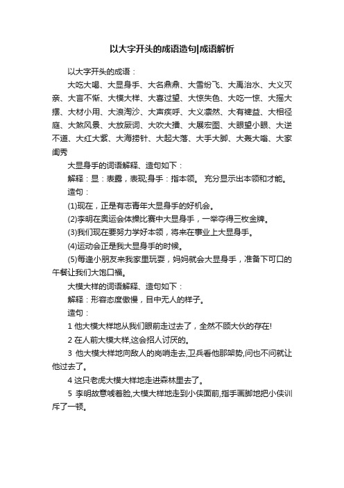 以大字开头的成语造句成语解析