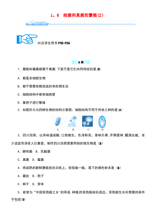 七年级科学下册1.6细菌和真菌的繁殖(2)同步练习浙教版