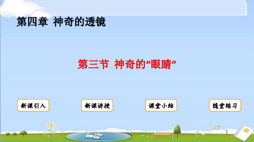 2024年秋新沪科版八年级上册物理教学课件 第四章  神奇的透镜 第三节  神奇的“眼睛”