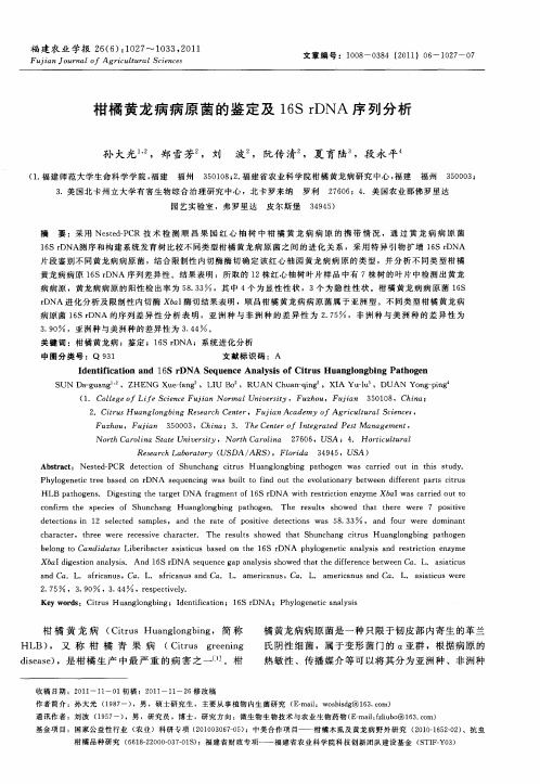 柑橘黄龙病病原菌的鉴定及16S rDNA序列分析