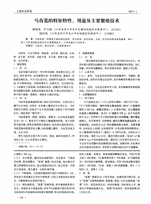 马齿苋的特征特性、用途及主要繁殖技术