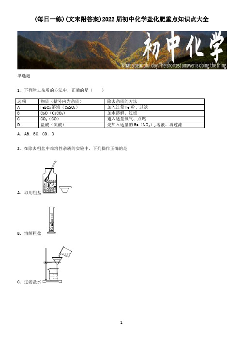 (文末附答案)2022届初中化学盐化肥重点知识点大全