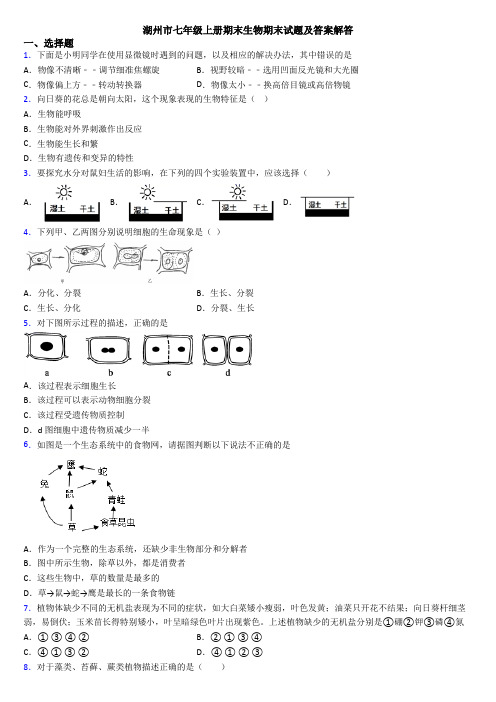 湖州市七年级上册期末生物期末试题及答案解答