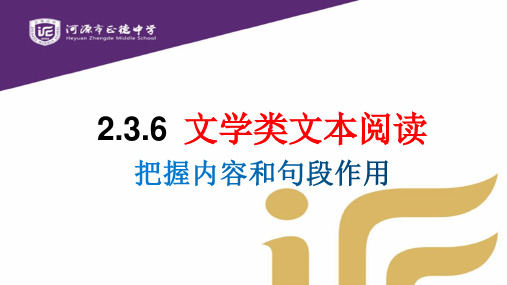 文学类文本阅读-广东省河源市正德中学九年级语文下册课件(共25张PPT)