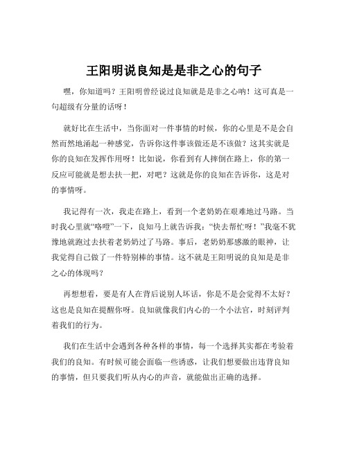 王阳明说良知是是非之心的句子