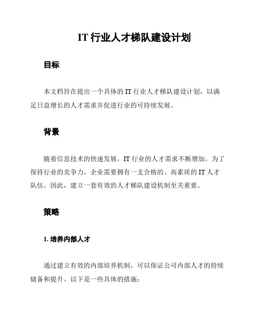 IT行业人才梯队建设计划