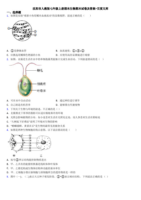 沈阳市人教版七年级上册期末生物期末试卷及答案-百度文库