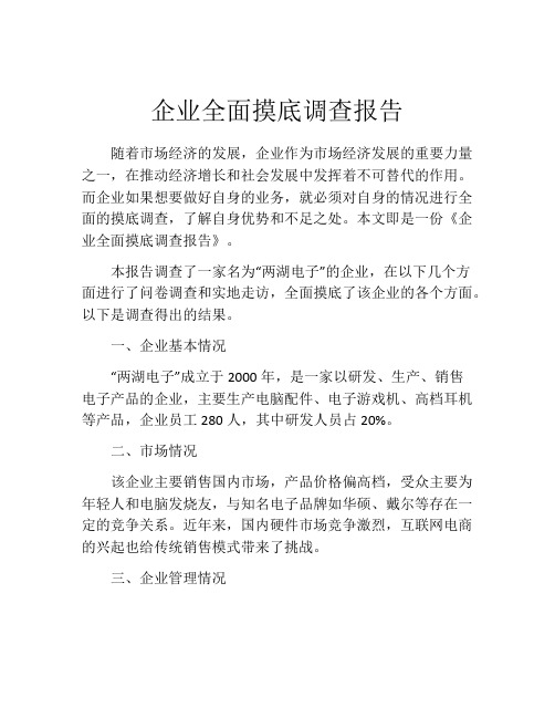 企业全面摸底调查报告