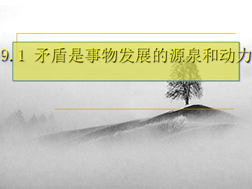 高中政治人教版必修四课件:9.1 矛盾是事物发展的源泉和动力 (共44张PPT)(优质推荐版)