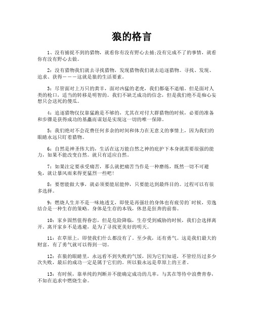 狼的格言-专业文档