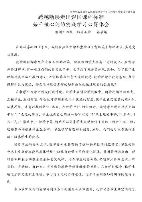 跨越断层走出误区课程标准若干核心词的实践学习心得体会