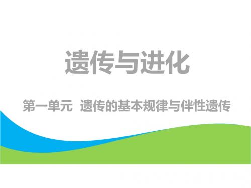 2019版高考生物一轮复习第二部分遗传与进化第一单元遗传的基本规律与伴性遗传第一讲孟德尔的豌豆杂交实