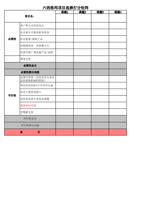 《六西格玛项目选择打分矩阵》