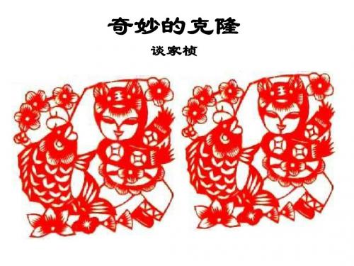奇妙的克隆PPT44 人教版