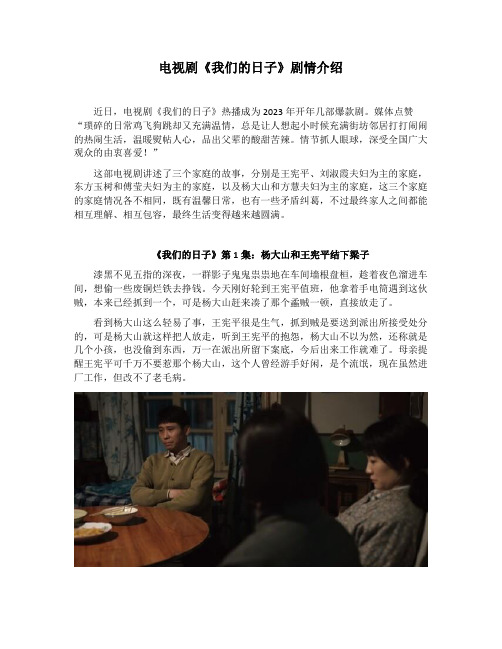 《我们的日子》第1集：杨大山和王宪平结下梁子