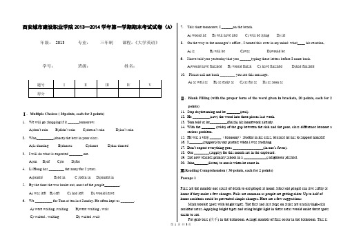 2013-2014大学英语试卷A