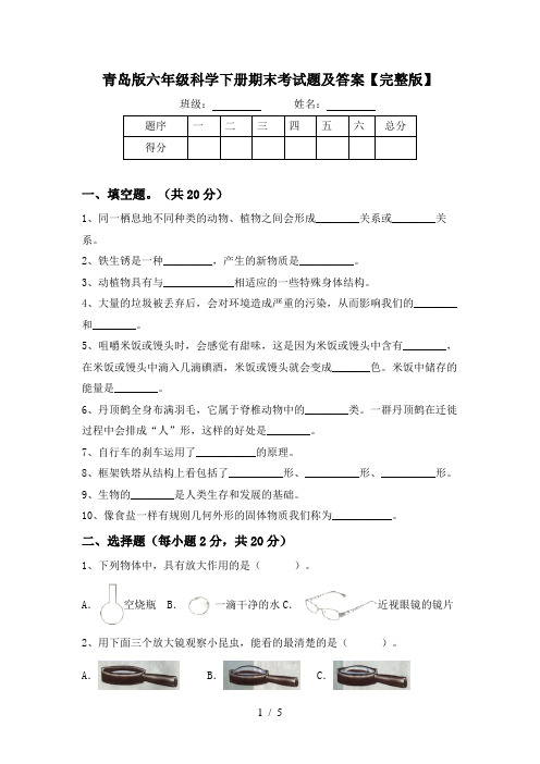 青岛版六年级科学下册期末考试题及答案【完整版】