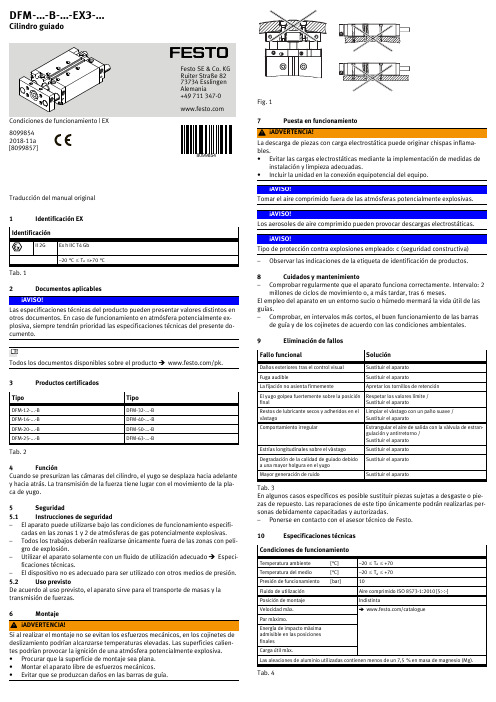 Festo EX Identificación Cilindro 2G 25-63-B 型号说明书