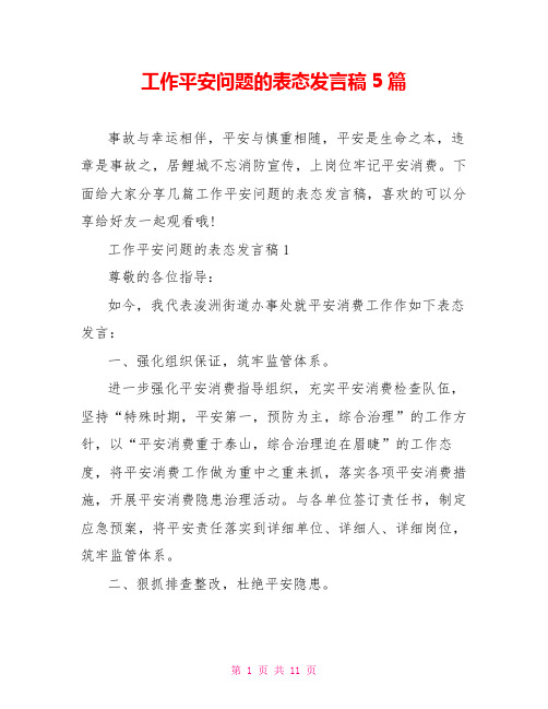 工作安全问题的表态发言稿5篇