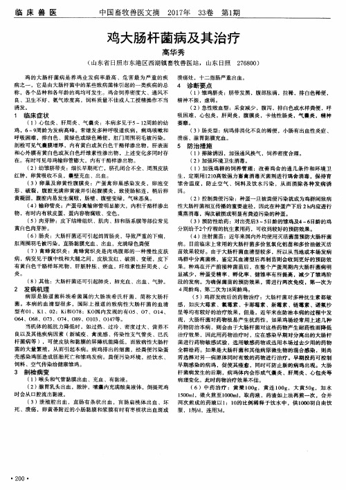 鸡大肠杆菌病及其治疗