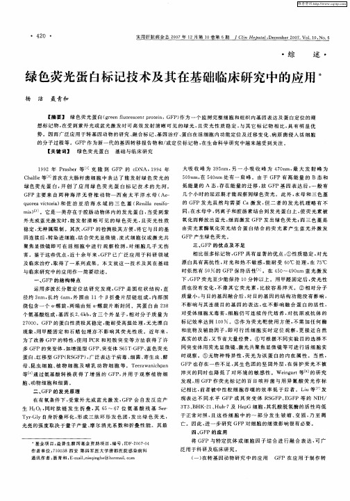 绿色荧光蛋白标记技术及其在基础临床研究中的应用