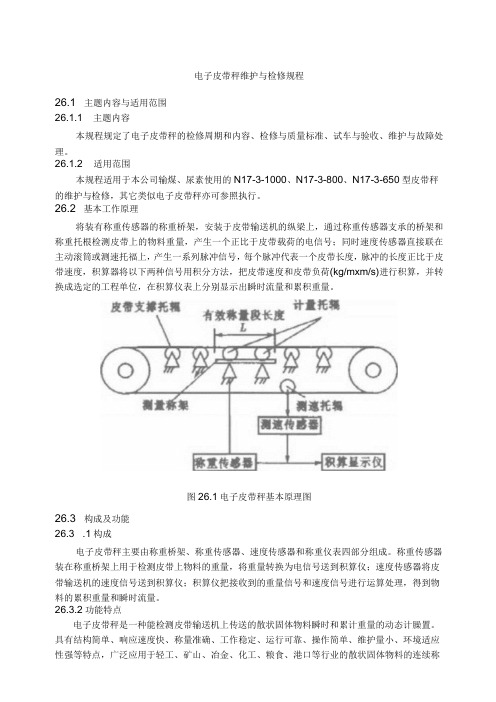 仪表自动化控制岗位维护操作规则-电子皮带秤维护与检修规程