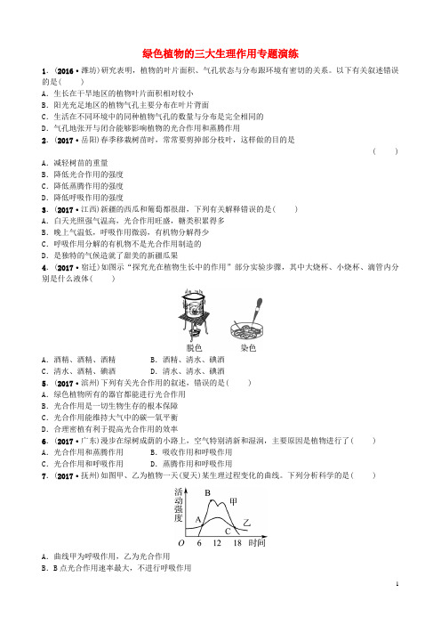 2018中考生物总复习专题四绿色植物的三大生理作用专题演练