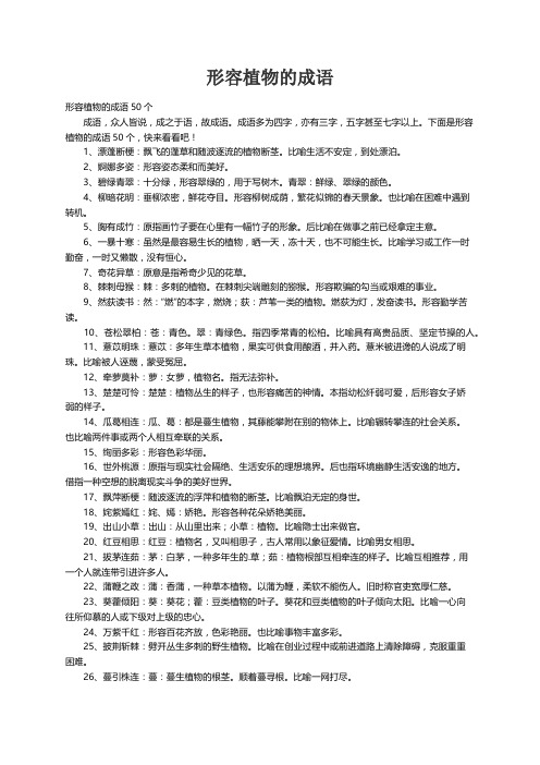 形容植物的成语50个