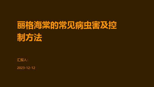 丽格海棠的常见病虫害及控制方法