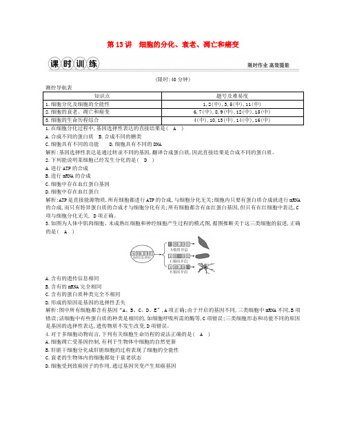 (通用版)2017高考生物一轮复习 第四单元 细胞的生命历程 第13讲 细胞的分化 衰老 凋亡和癌变