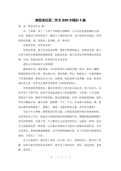 爱是责任高二作文800字精彩4篇