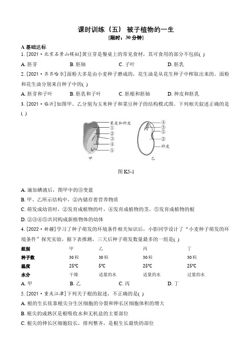 【人教2023中考生物一轮复习 考点梳理过关】课时训练第5课时 被子植物的1生(附解析)