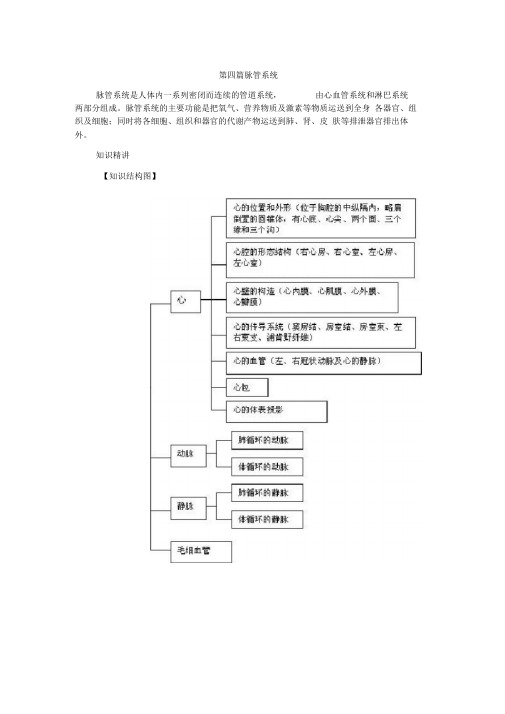 《人体解剖学基础》第七章-脉管系统总结及习题