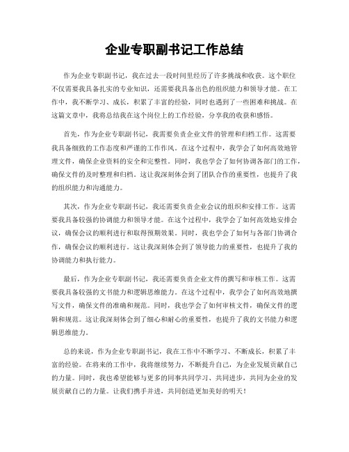 企业专职副书记工作总结