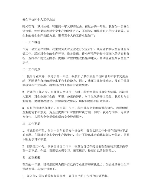 安全评价师工个人工作总结