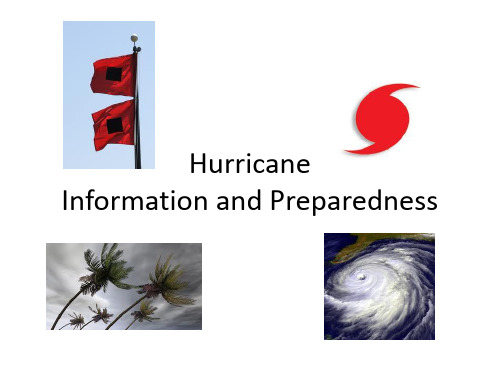 飓风应对措施 HURRICANE PRESENTATION