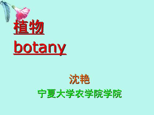 植物学之果实学