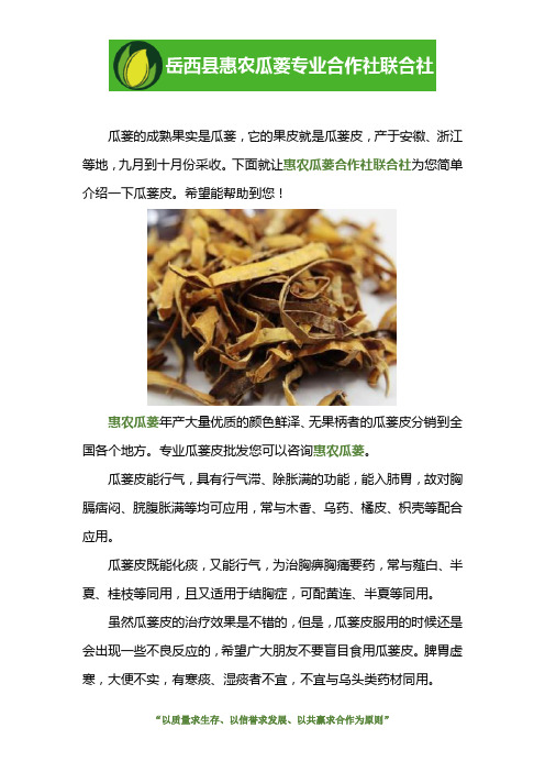 专业瓜蒌皮批发